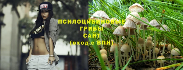 соль ск Алзамай