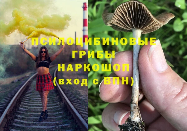 метадон Алексин