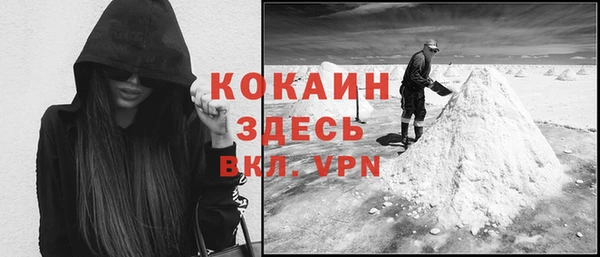 гашик Каменка