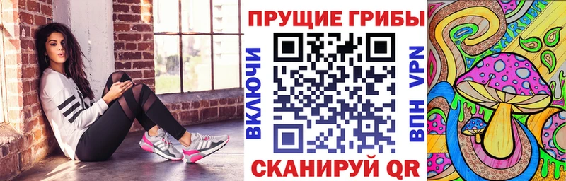 Галлюциногенные грибы мицелий  Сыктывкар 