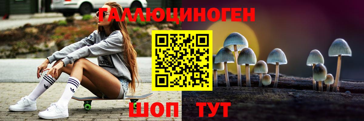Псилоцибиновые грибы GOLDEN TEACHER Сыктывкар